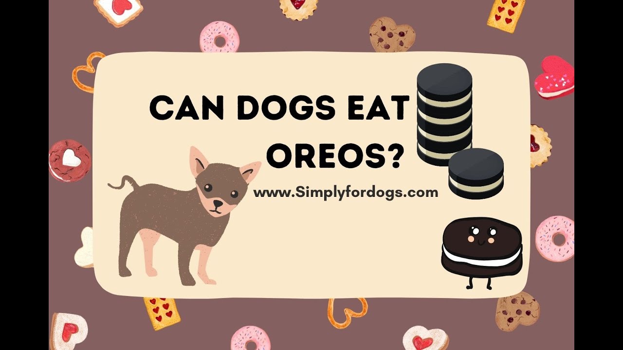 Can Dogs Eat Oreos?