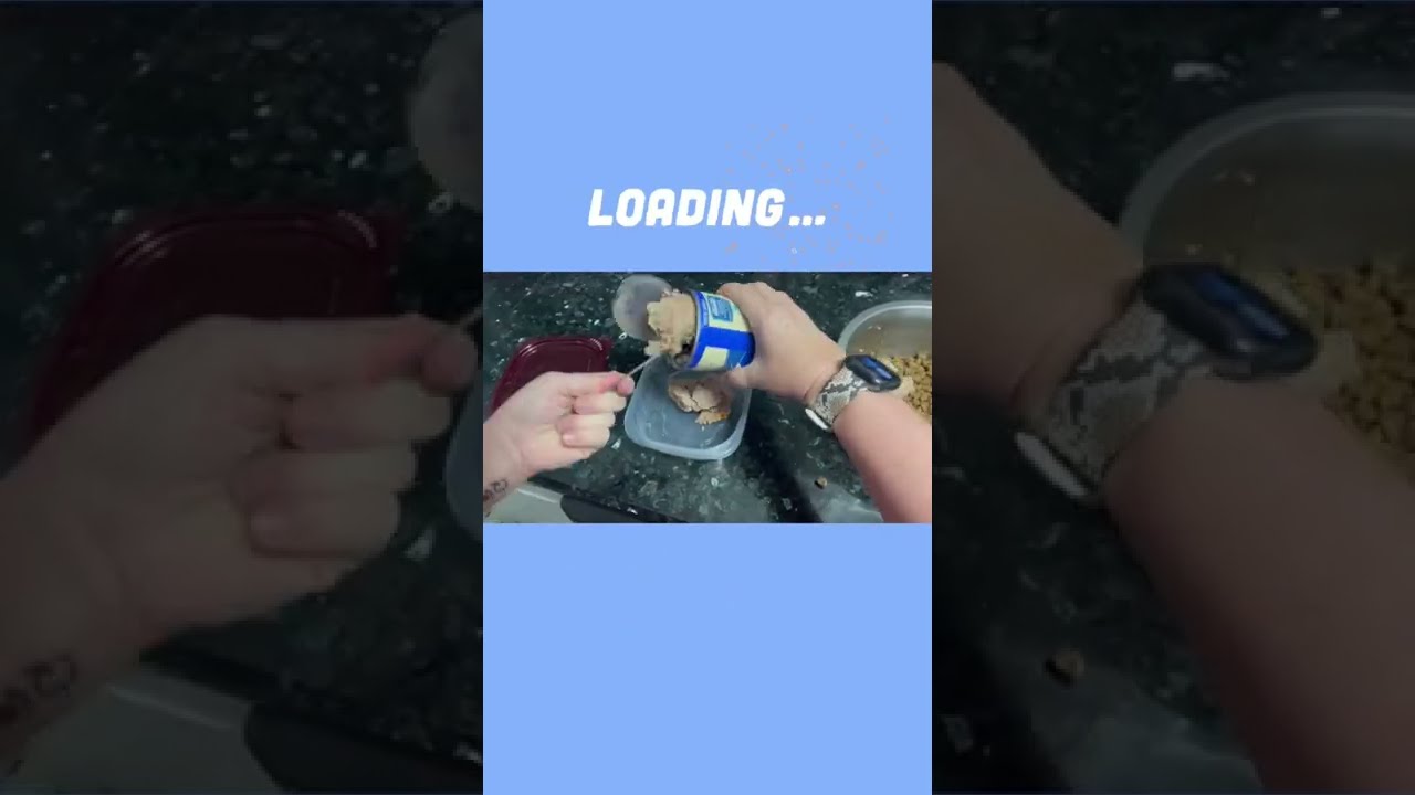 Dog food storage hacks 2022 (or cat food!) Edamame BBNO$