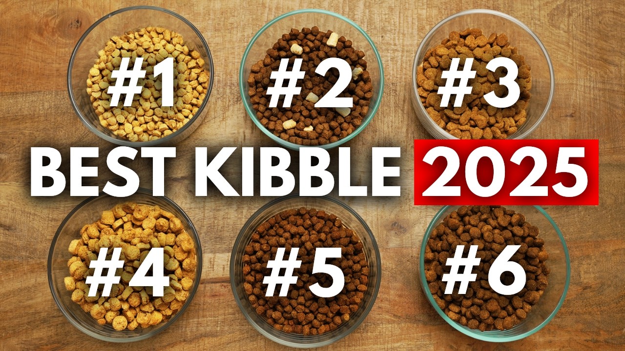 Top 6 Dog Kibbles to Buy in 2025