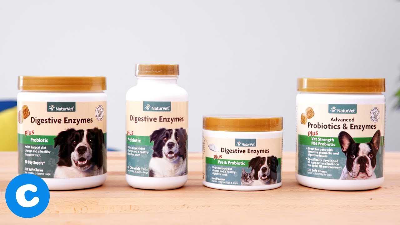 NaturVet Advanced Probiotic Supplements