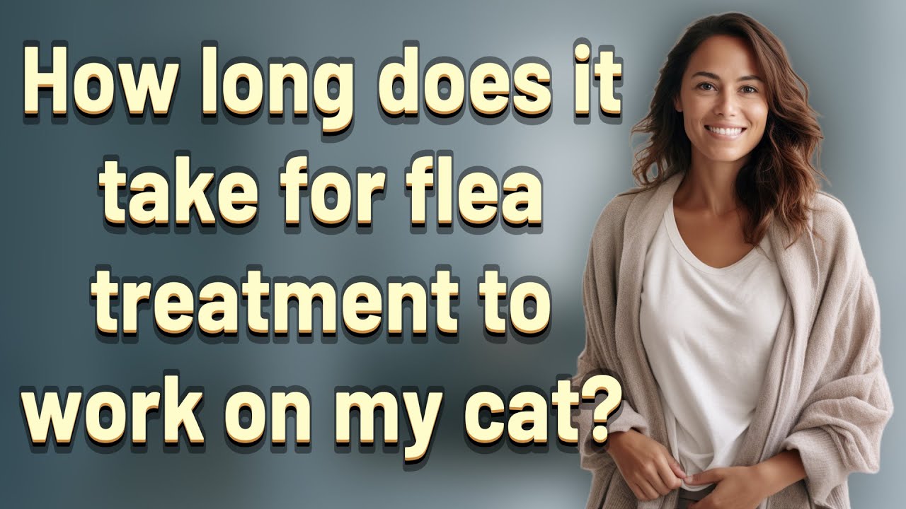 How long does it take for flea treatment to work on my cat?