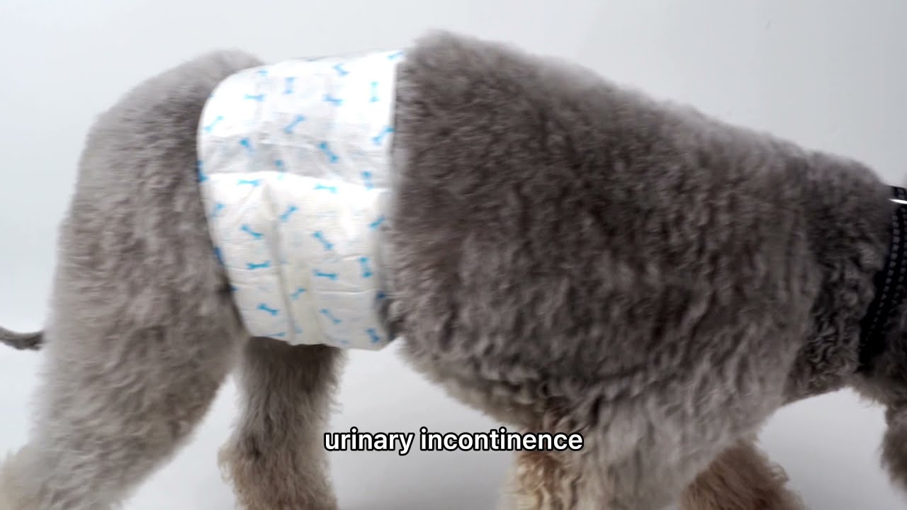 Besuper Diapers I Pet diapers for male dogs