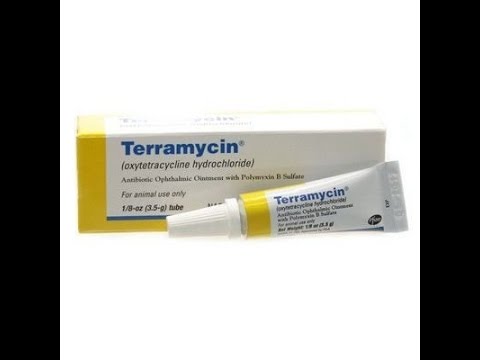 Terramycin Ophthalmic Ointment