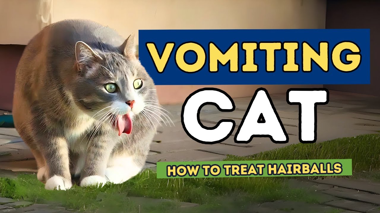 Cats Vomiting? I Tried 3 Diets to Stop the Hairballs!