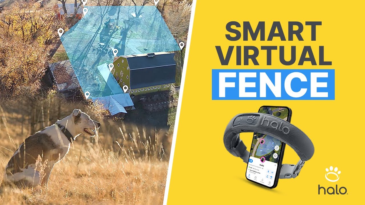 HOW THE HALO COLLAR WORKS? CREATE SMART VIRTUAL GPS DOG FENCES ANYWHERE