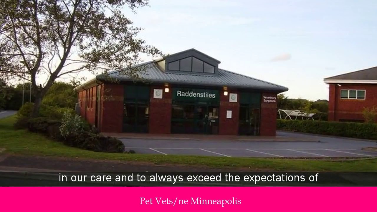 Local Vet