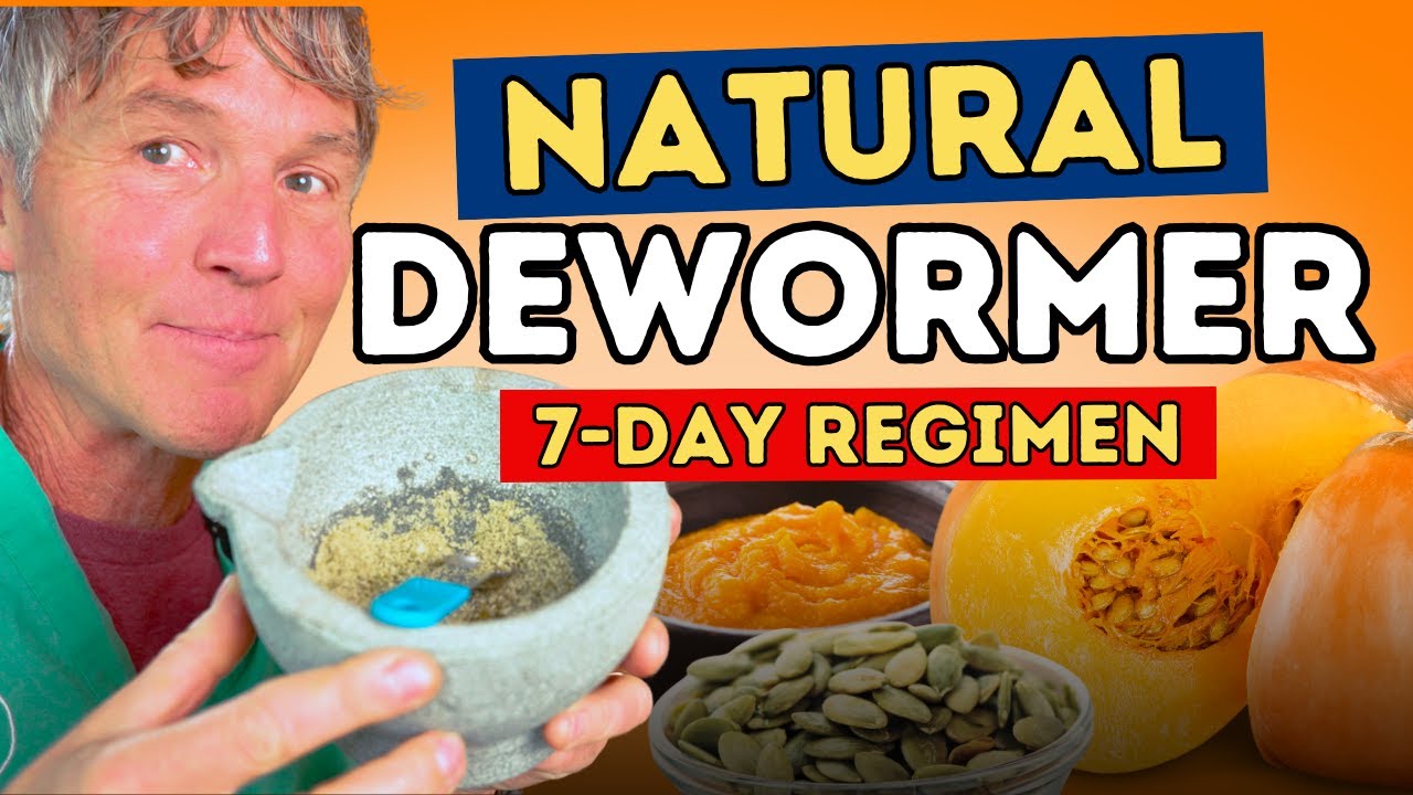 How to Deworm Dogs & Cats Naturally: Pumpkin Cleanse for Parasites