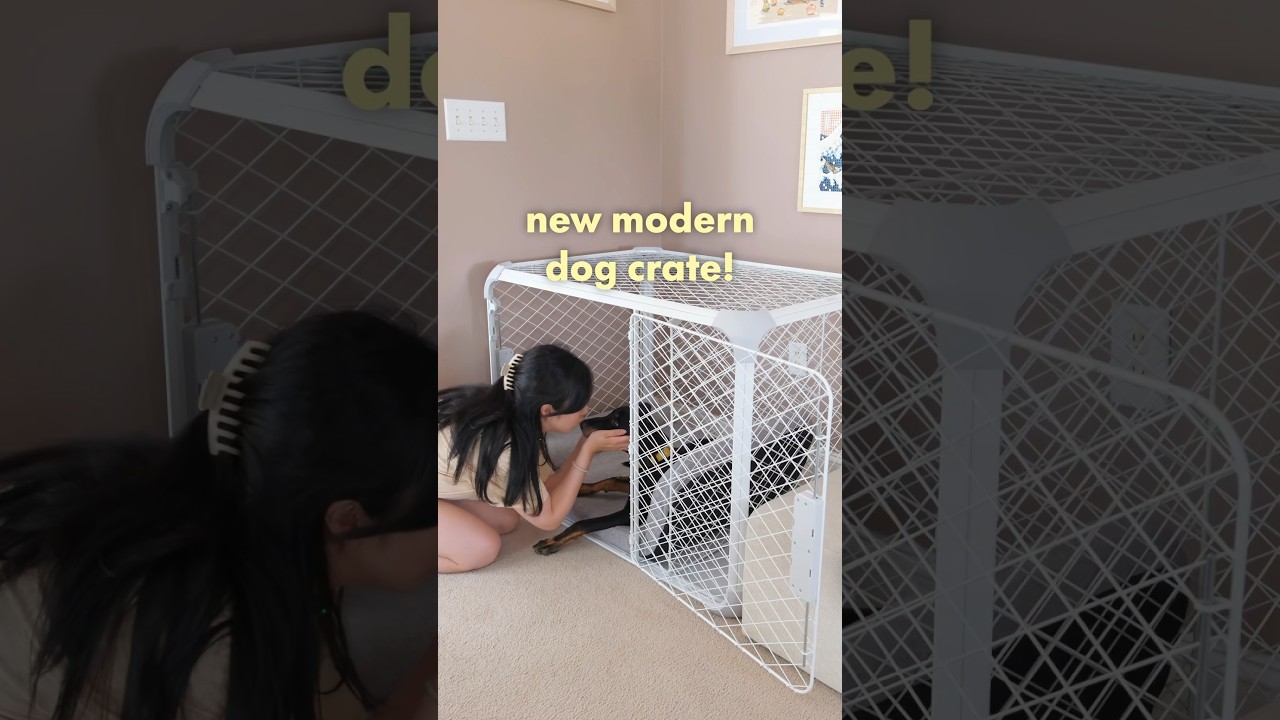 My new puppy gets a cozy dog crate, the Diggs Evolv Crate #newpuppy #doglover #dogcrate