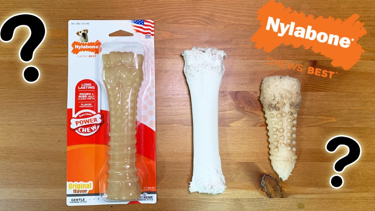 Nylabone Dog Bone Review (PROS & CONS)