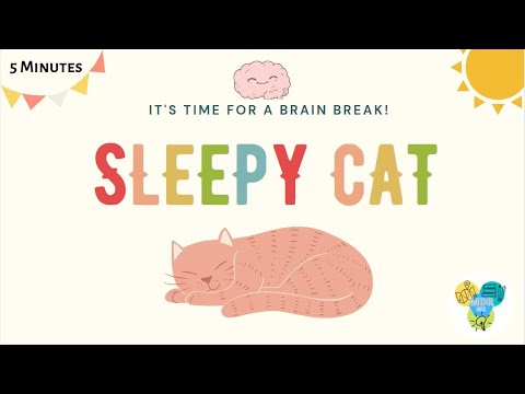Relaxing Brain Break Activity for Kids | Sleepy Cat