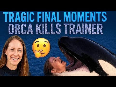 💔 Orca Attack: Jessica Radcliffe’s Tragic Last Moments 😢🌊| Jessica Radcliffe Orca Attack Real Video 