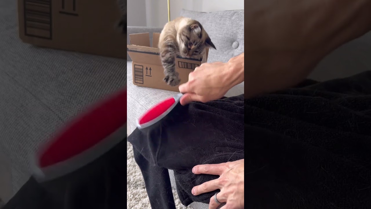 Testing the world’s most popular fur removing product!
