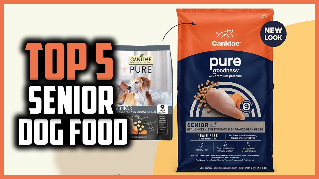 ✅Top 5 Best Senior Dog Food  of 2024