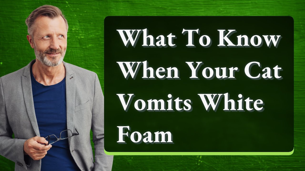 What To Know When Your Cat Vomits White Foam