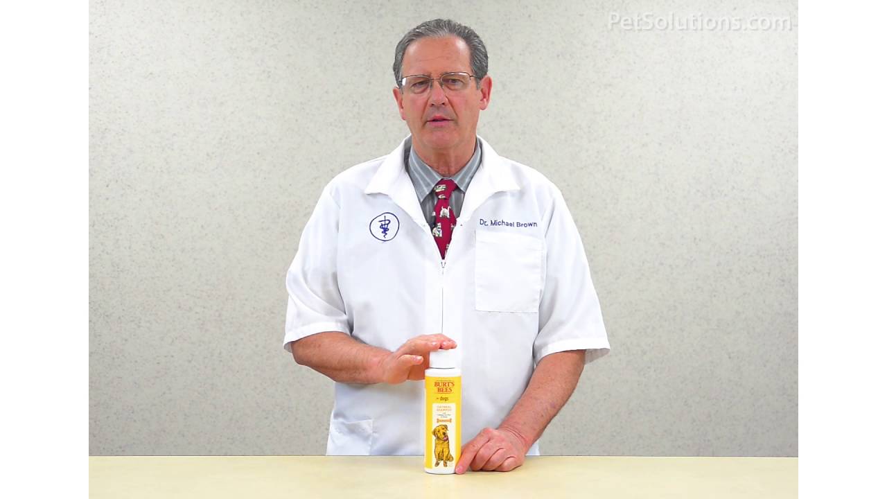 PetSolutions: Burts Bees Oatmeal Shampoo for Dogs