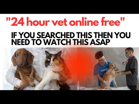 24 hour vet online free 🐶🏥🐾 click here to know || 24 hour vet online free || 24 hour vet online free