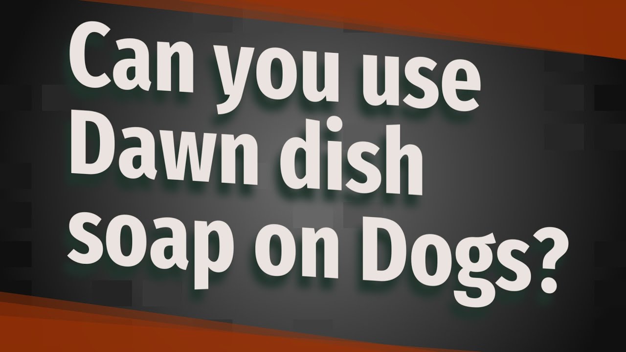 Can you use Dawn dish soap on Dogs?