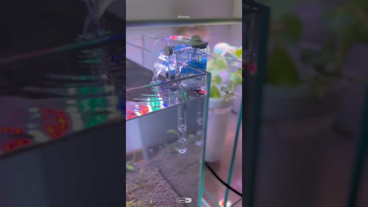 #shorts ONE OF THE BEST mini hang on back filter for nano aquariums | NEPALL hang on back filter
