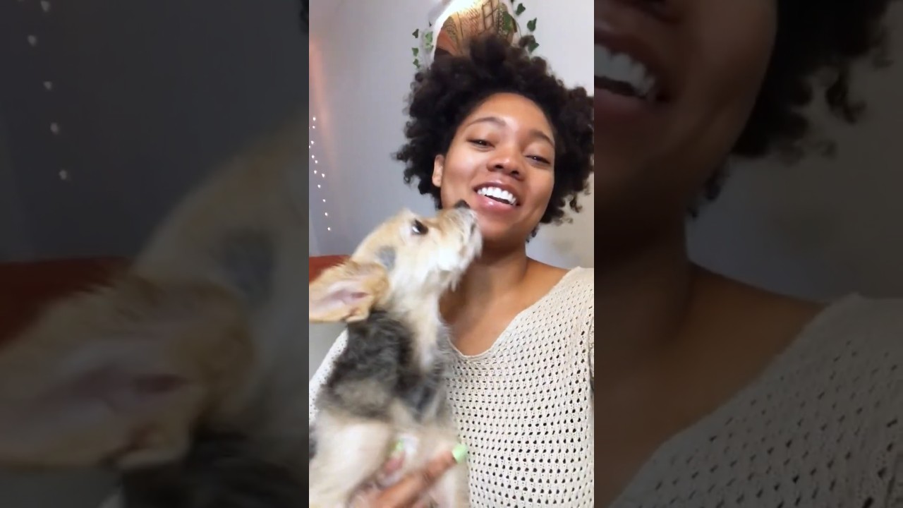 Stress-Free Pet Care: Try Vetster Today!