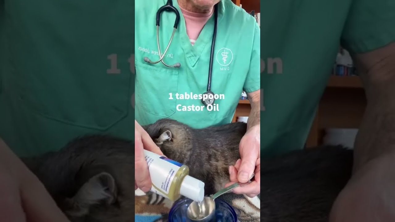 Cat Ear Mite Recipe