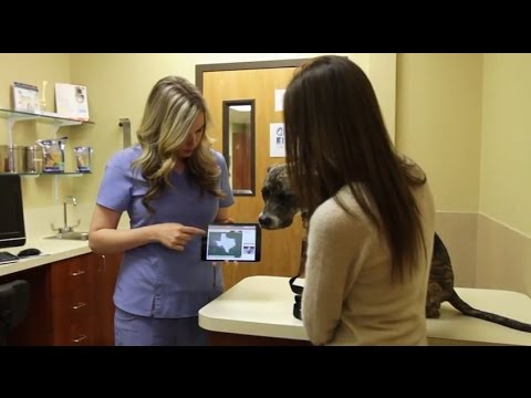 Educate your veterinary clients with the CAPC iPad app