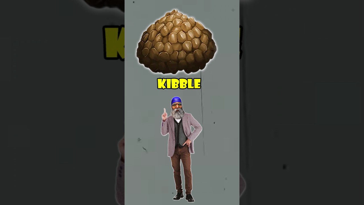 ark basics what is kibble?
