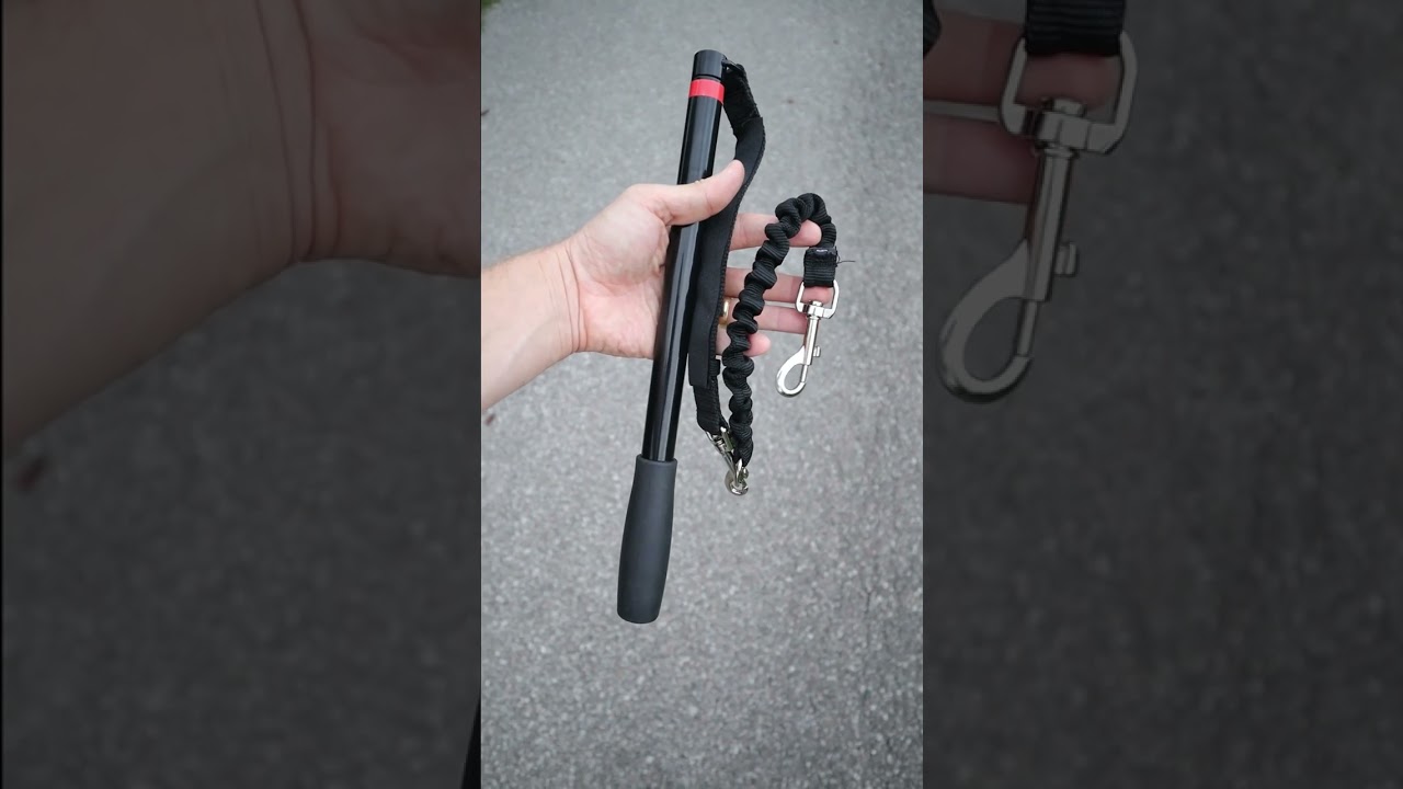 A Dog Leash For Your Bicycle! #dog #dogowners #pets #shorts #amazon