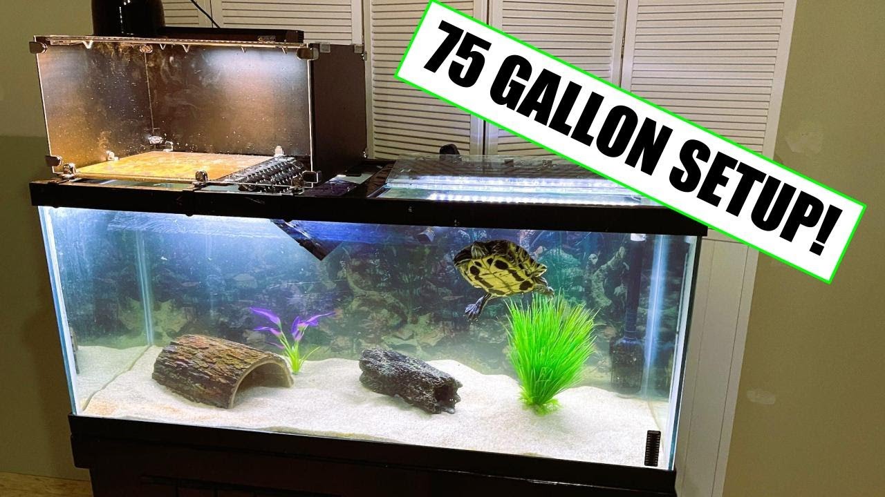 75 Gallon Turtle Tank Setup - Easy Build to Optimize Space!