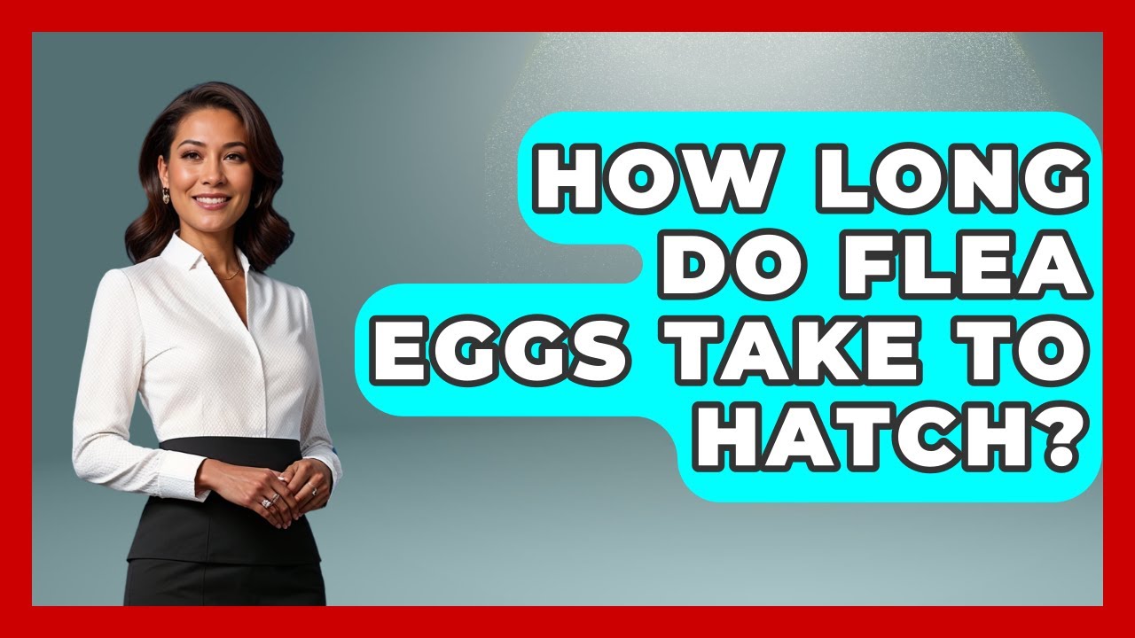 How Long Do Flea Eggs Take To Hatch? - Insects and Invaders