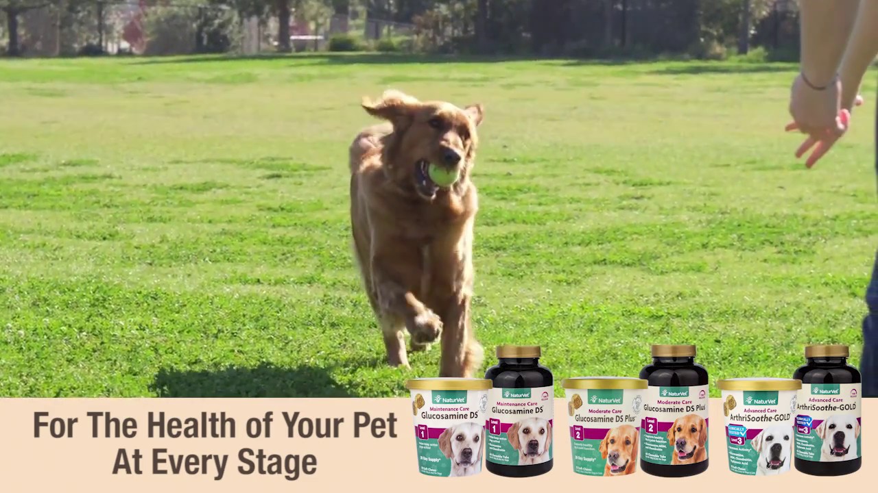 Hip & Joint Support Supplements For Dogs and Cats from NaturVet