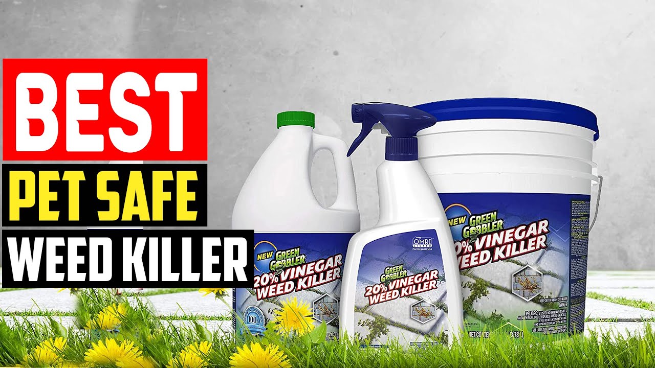 ✅Top 5 Best Pet Safe Weed Killer for Your Yard in 2023