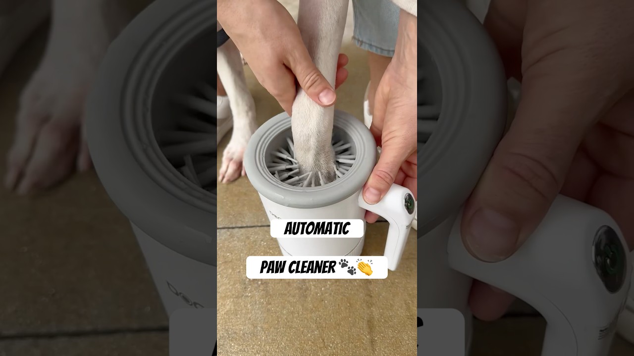 An automatic paw cleaner 🙌🐾 #dog #dogs #paw #paws #clean