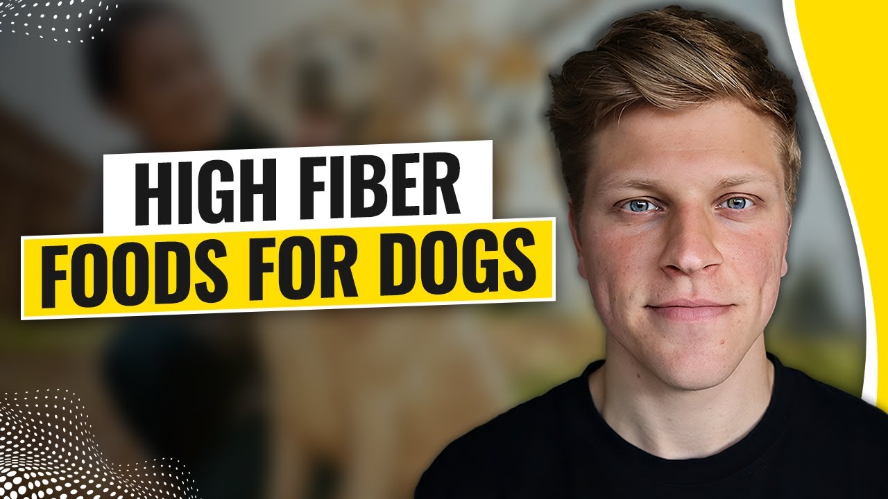 High Fiber Foods for Dogs (2025)