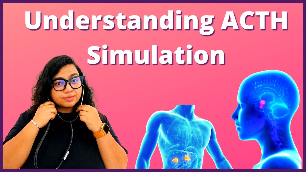 ACTH Stimulation Test Explained | Procedure, Results and Risks Explained
