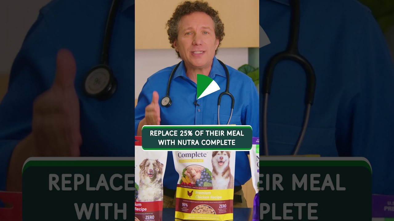 How Can I Switch My Dog's Food To Healthy Freeze Dried Raw