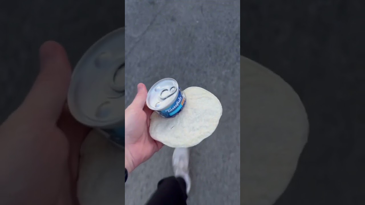 Feeding a Stray Cat