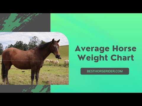 Average Horse Weight Chart