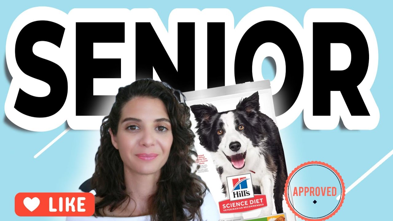 Search for the best senior dog food: Science Diet Senior 7+ review