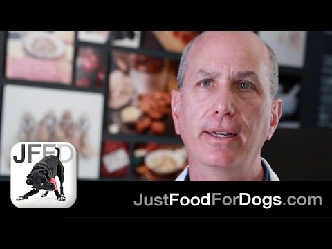 Can Dogs Eat Onions and Garlic? feat. Dr. John Tegzes, VMD | JustFoodForDogs