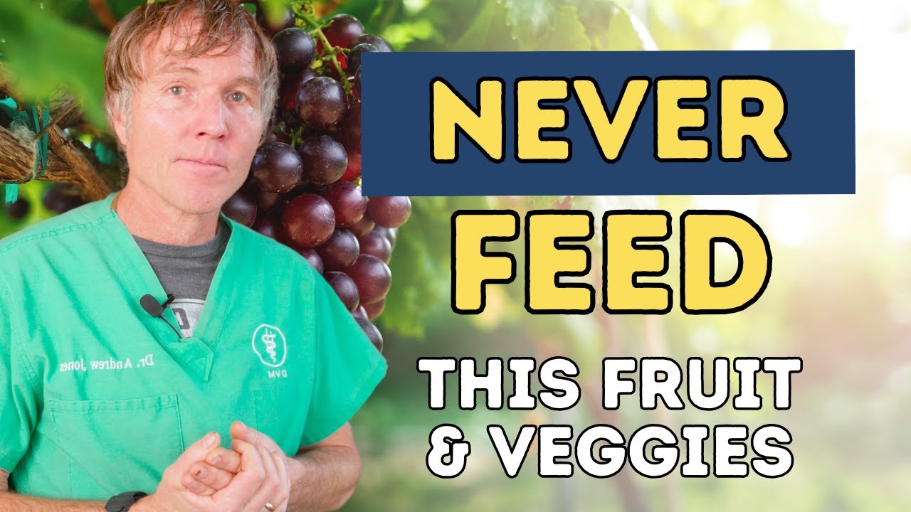 5 Fruits and Vegetables Your Dog Should NEVER Eat