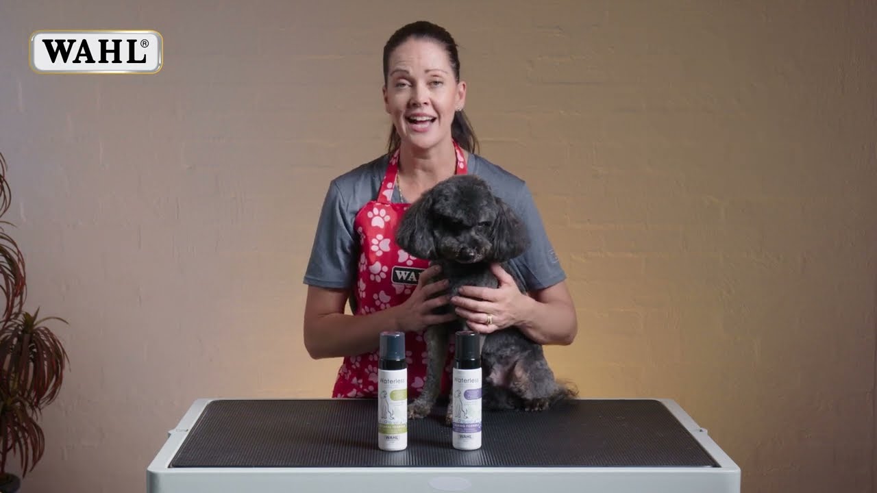 Easy Waterless Dog Shampoo