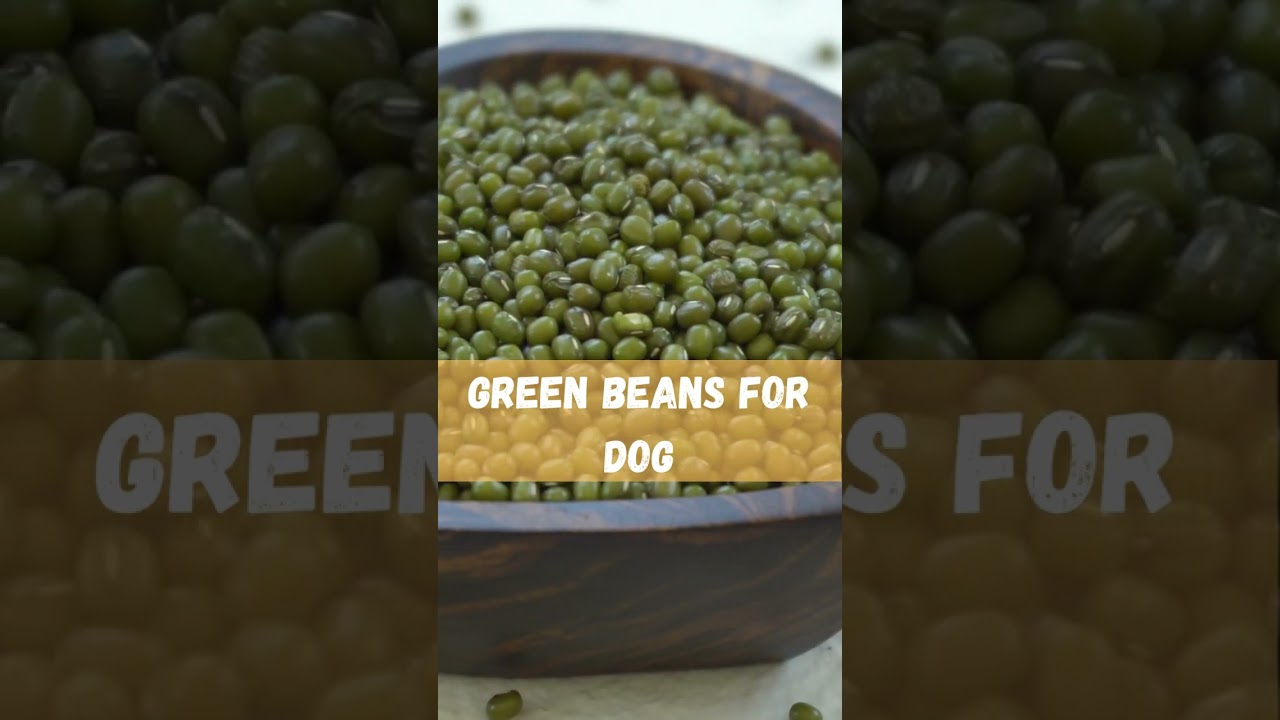 Healthy Snack Alert: Green Beans for Dogs!