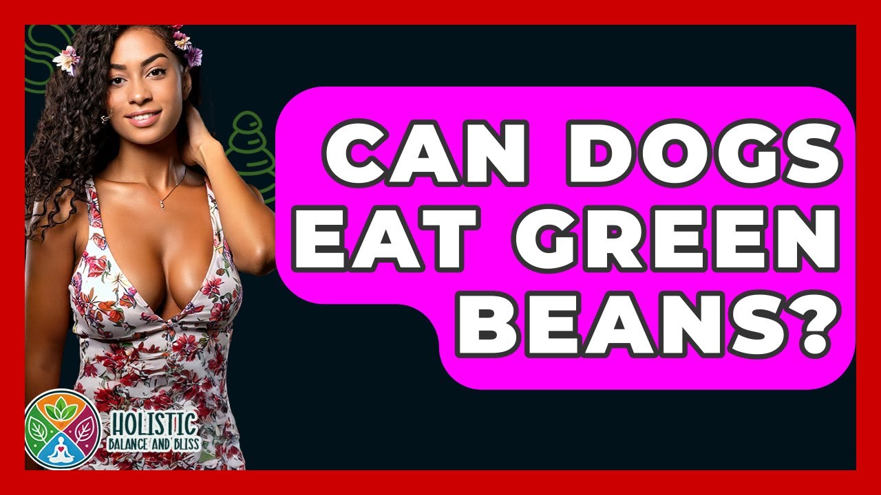 Can Dogs Eat Green Beans? - Holistic Balance And Bliss