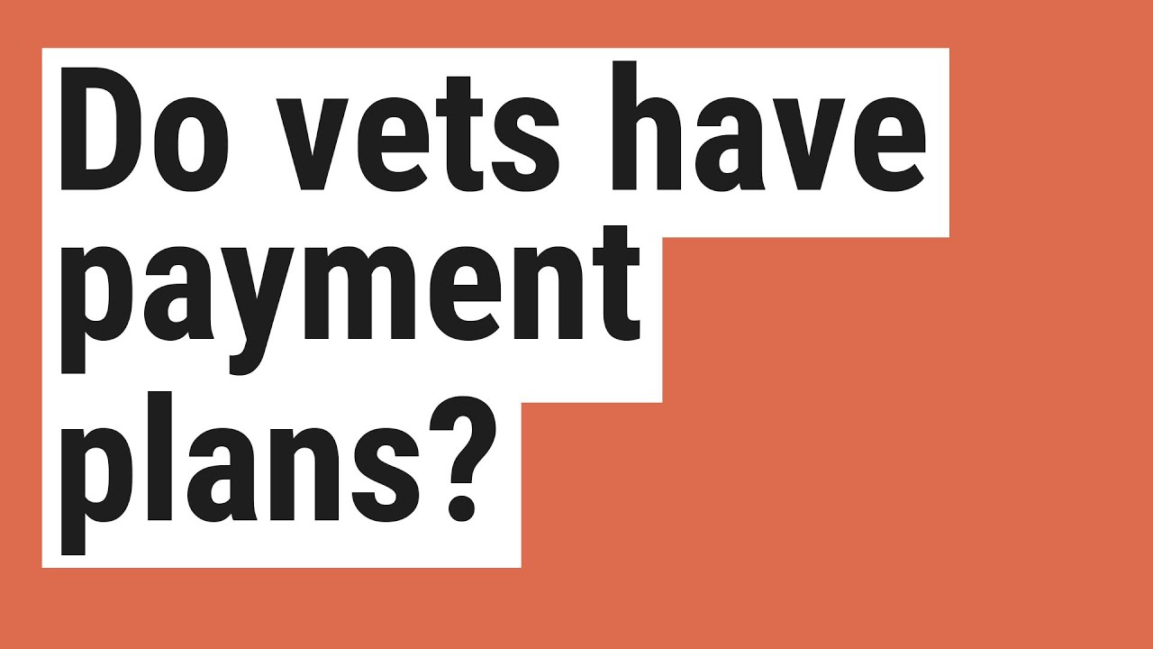 Do vets have payment plans?