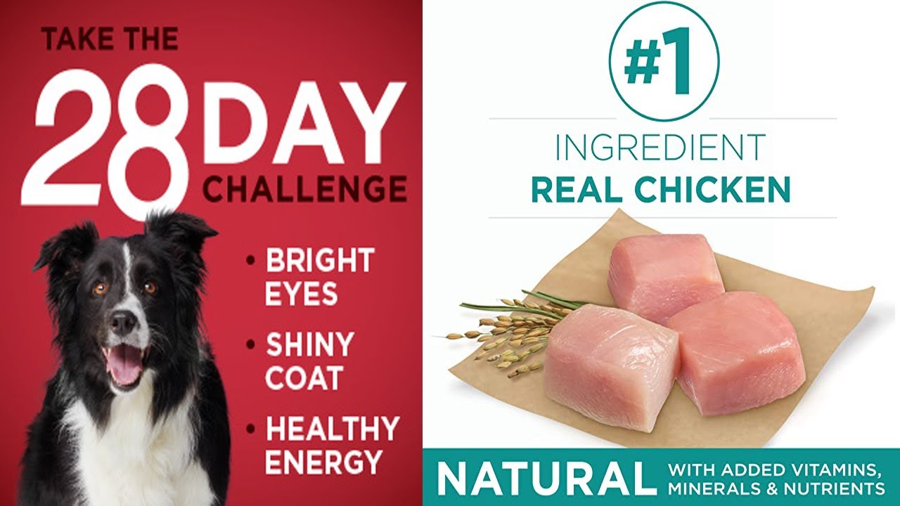 Purina ONE SmartBlend Natural Sensitive Systems - Digestive Health | Review 2020