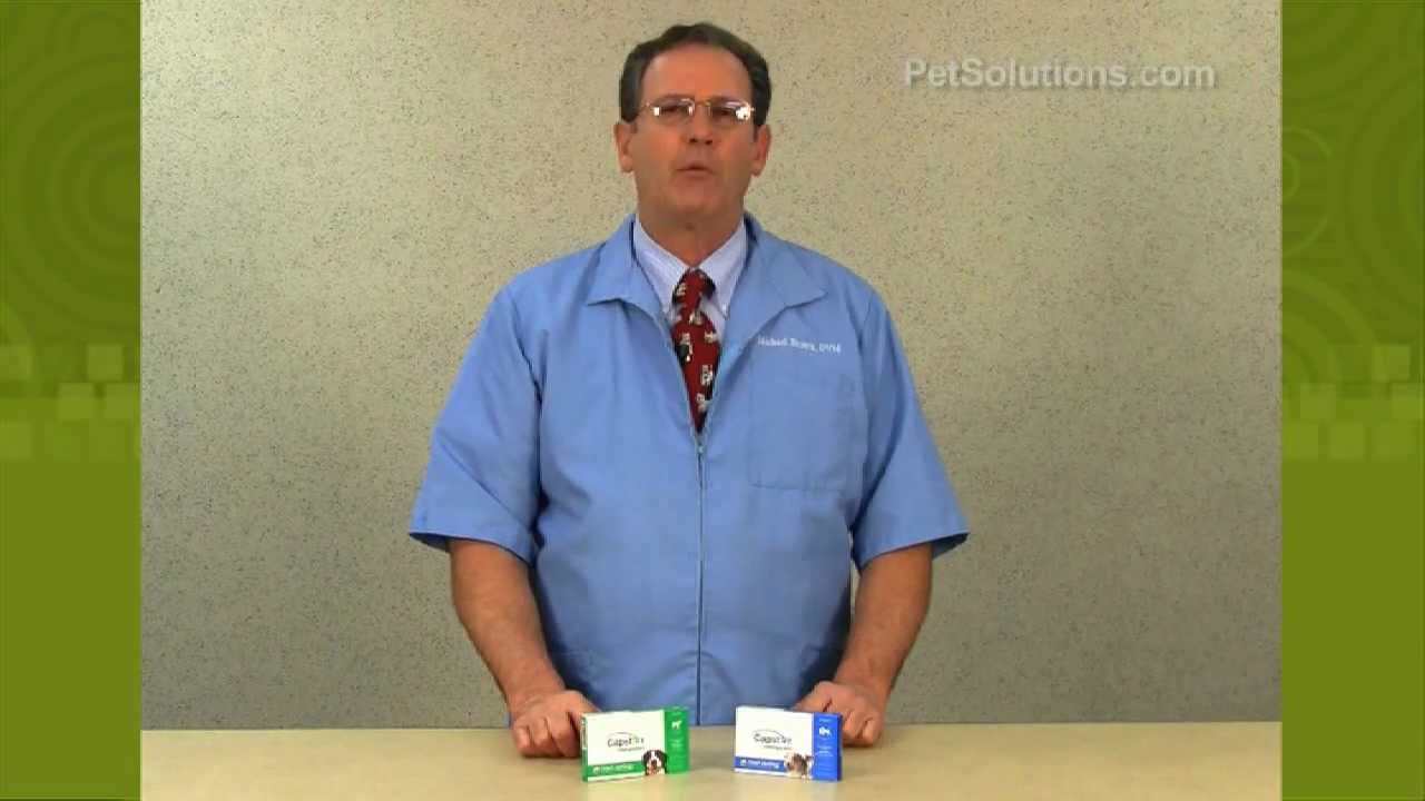 PetSolutions: Capstar Flea Tablets for both Dogs and Cats