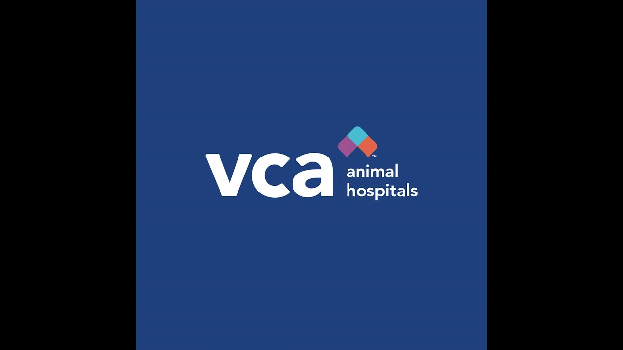 Advancements in Veterinary Diagnostic Imaging: Dr. Dennis Keith