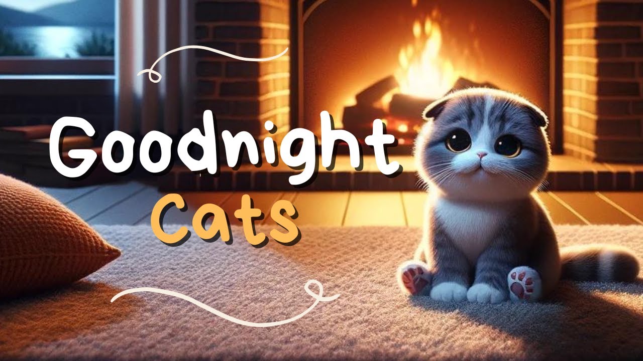 Goodnight Cats🐱Cozy Bedtime Story and Song for Babies, Toddlers, and Kids