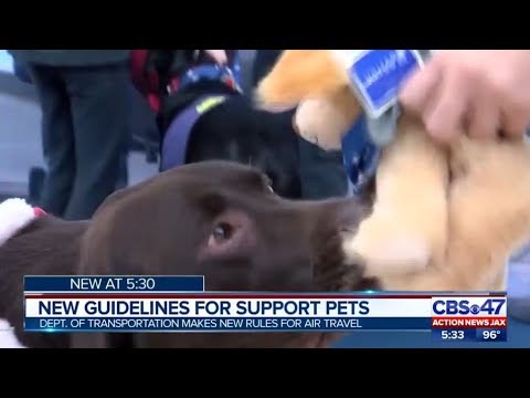 New guidelines for support pets