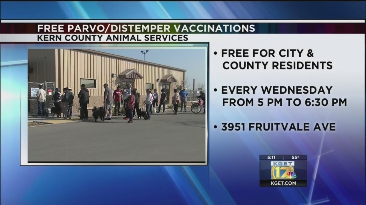 Distemper shots for dogs